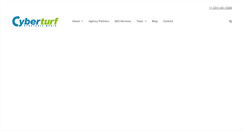 Desktop Screenshot of cyberturfstrategic.com